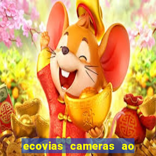 ecovias cameras ao vivo santos